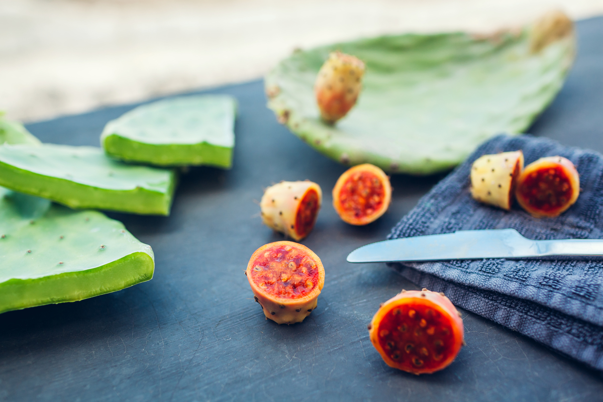 Get Hooked on These Tasty Prickly Pear Cactus Recipes McCormick